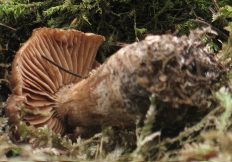 Cronaca di un sabato disgraziato